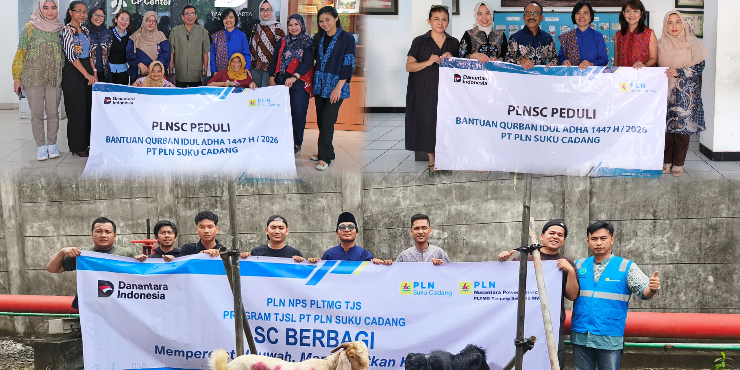 cover pers